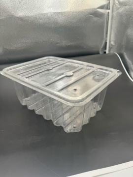 transparent PET food container blister thermoforming packaging