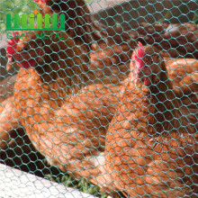 Free sample small hole chicken wire mesh