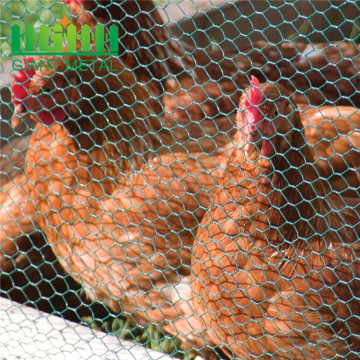 Sampel percuma mesh wire chicken ayam percuma