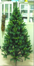 Christmas trees cbt60650