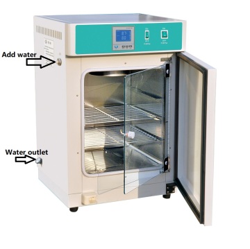 50L Constant Temperature Cell Culture Water Jacket Incubator