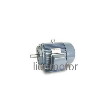 Mc Series Asynchronous Motor/Electric Motor