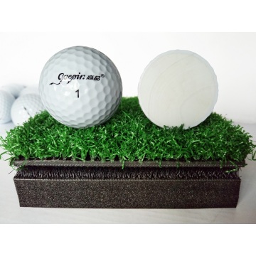 Two Piece Surlyn Golf Tournament Balls