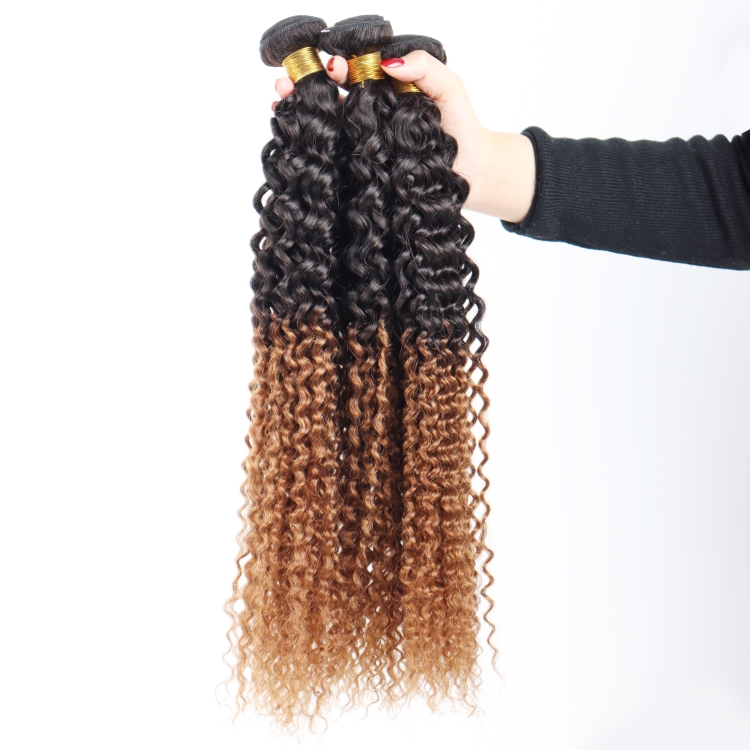 T1b/30 Color Jerry Curly Brazilian Hair Bundles With Closure Vendors Cuticle Aligned Virgin Human Hair Wholesales Extension