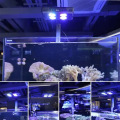 Lampada a led dell&#39;acquario di acqua salata per barriera corallina