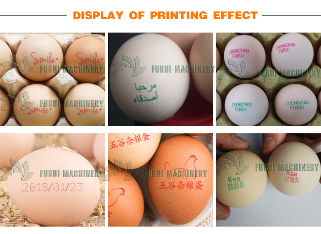 High speed egg inkjet printer/expiry date printing machine on Egg/egg date printing machine