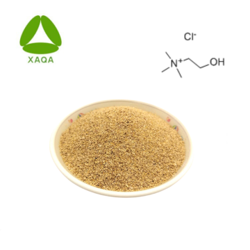 API Nährstoffadditive Material Cholinchlorid 60%