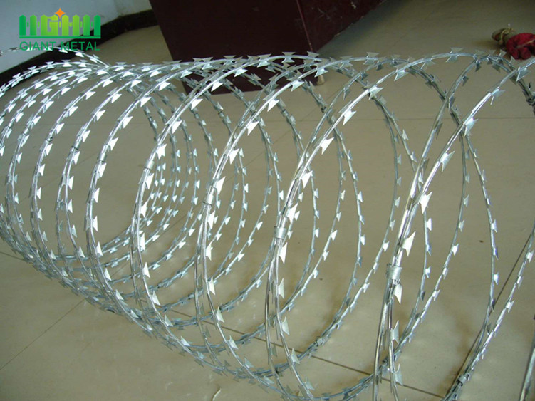 High Quality Galvanized Zazor Barbed Wire