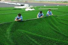 Soft 7700 DTEX PP Durable Artificial Grass Turf, Baseball,