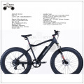 EBIKE COMPANY WHOLESALE 2017 EBIKE BATTERY 48V مع FAT TIRE