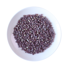 Dehydrated and Freeze-Dried Food Products: Beans, Grains, and Baking Ingredients