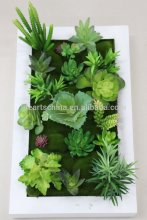DIY succulent plants, photo frame wall plants