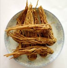 Angelica Root Essential Oil 50ml