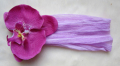 Veck bred Satin pannband hårtillbehör Phalaenopsis + pannband