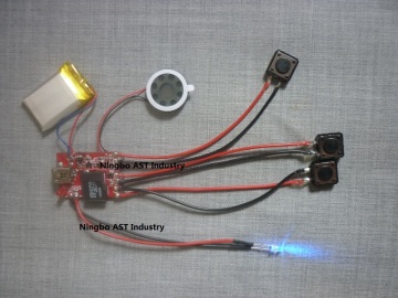 MP3 Sound Module with Voice Recording Feature