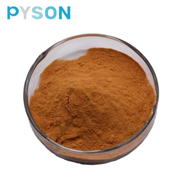 สารสกัดจาก Hericium erinaceus Polysaccharides 50% UV