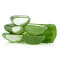 Aloe Vera Extract, Aloin, Aloinoside,