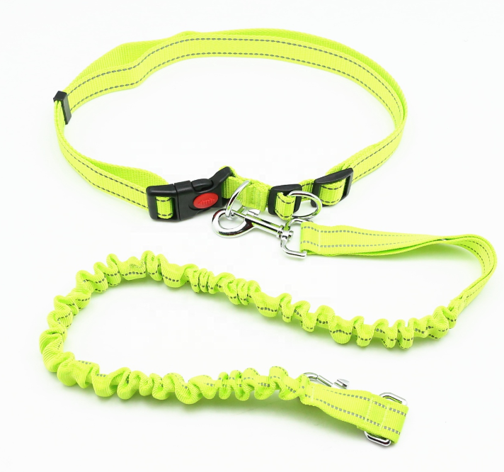 Lighted Dog Leash