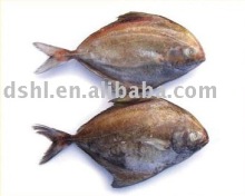 frozen black pomfret