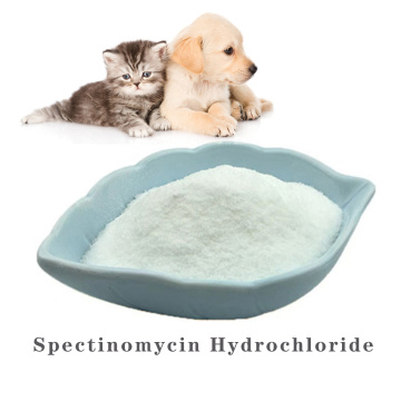 Buy online Spectinomycin Hydrochloride powder
