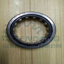 F-575438.01 Non-Standard Needle Roller Bearings