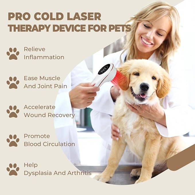 Portable Cold Laser Therapy for Dogs
