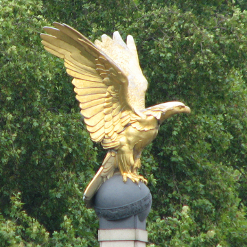 High quality bronze bald eagle statue golden hawk for sale