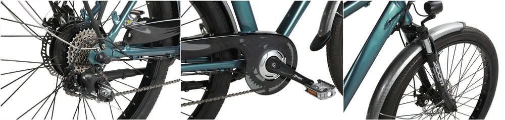 250W E Road Electric Bike/ Wholesale Electric Bicycle Parts