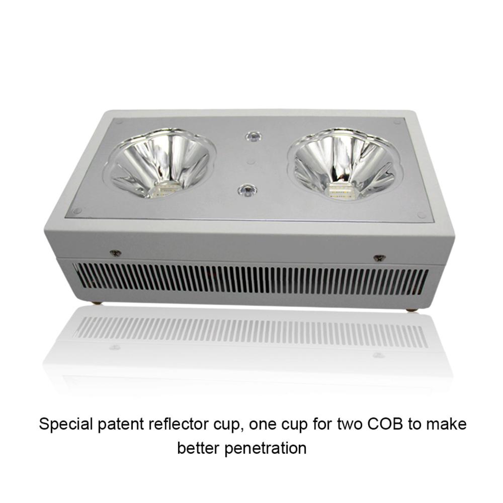 wholesale grow equipment 300W led grow lights