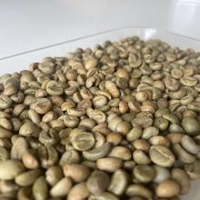 Robusta Green Beans Grade 1