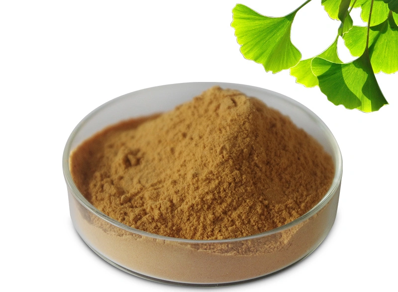 Herbal Extract 24% Flavones 6% Lactones Ginkgo Biloba Leaf Extract