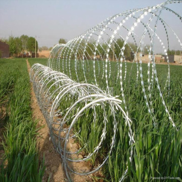 High Tension Military Protecting Barbed Wire Fence