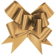 Flora Satin Pull Bow bow ribbon