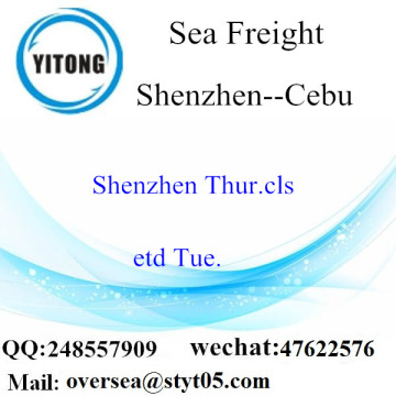 Shenzhen Port LCL Consolidation naar Cebu