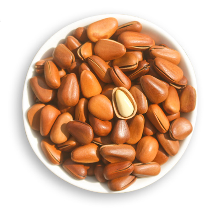 Original Healthy Food Grade Factory Direct Pine Nut Kernels