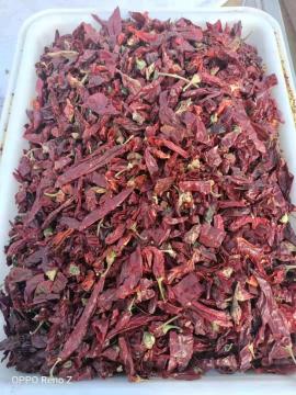 Stemless Table Red Paprika Whole Pods