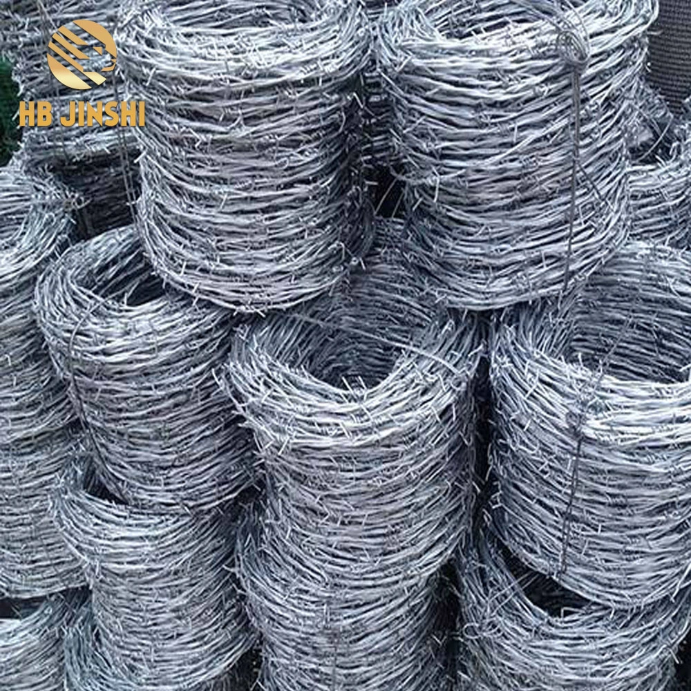 Double Twist Galvanized Barbed Wire Made in China