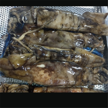 Frozen Squid Whole Round Dosidicus Gigas Squid
