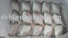frozen silver pomfret