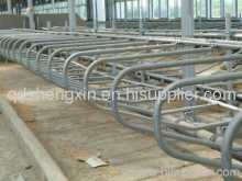 Cow Equipment Cow Free Stall?