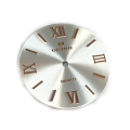 Roman Numerals Sunray Dial For Watch