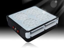 Apollo 4 LED aquarium light