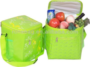 2013 new carry cooler bag