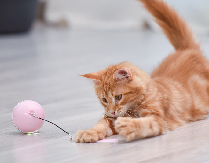 Amazon Popular Promotion USB Charging 360 Degree Auto-rotating Cat Toy Ball Interactive Smart Pet Supplies