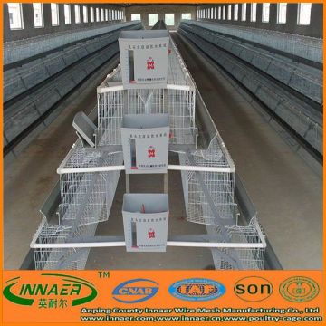 China Innaer ladder type chicken cage