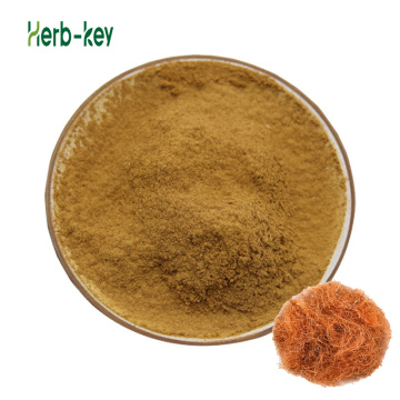 100% Natural Corn Silk Extract on Hot Sale