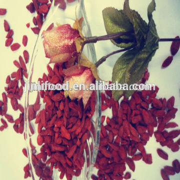 Top quality Qinghai dried goji berry for sale