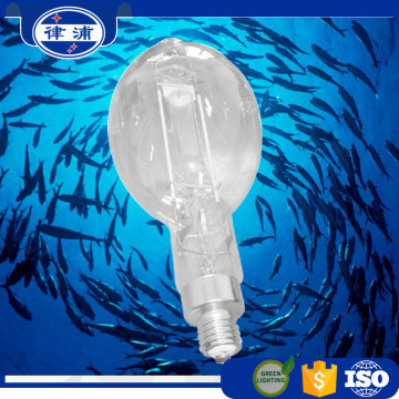 Water proof 1000w fishing light