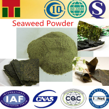 Seaweed Flavor Powder