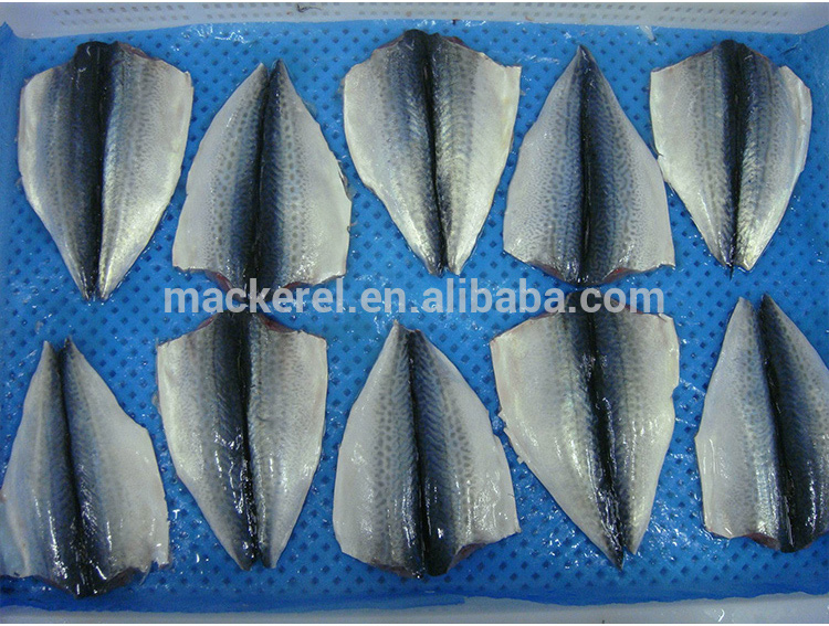 China Ekspor Ikan Beku Beku Mackerel Flaps Butterfly Mackerel
